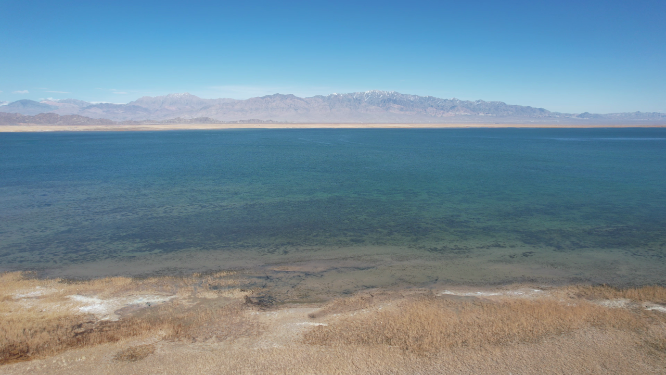 青海小柴旦湖碧绿色湖泊美景